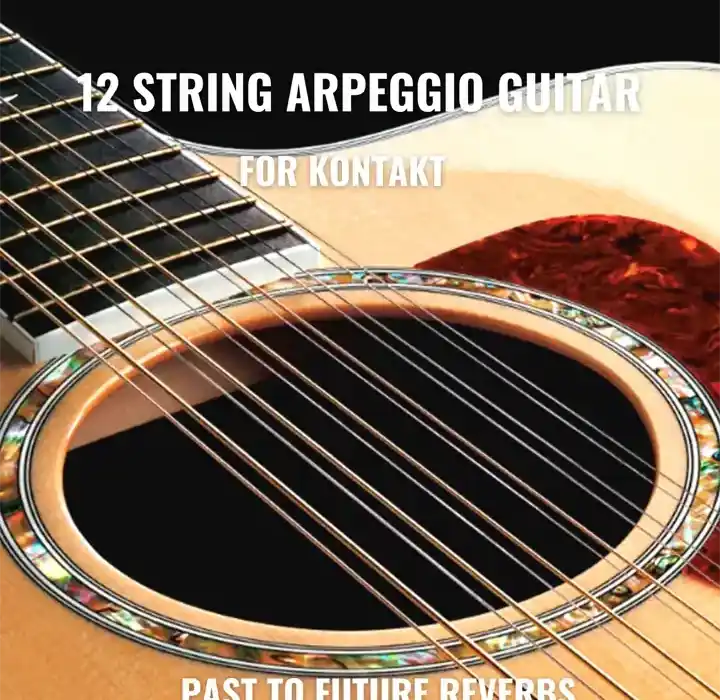 PastToFutureReverbs 12 String Arpeggio Guitar [KONTAKT] preview