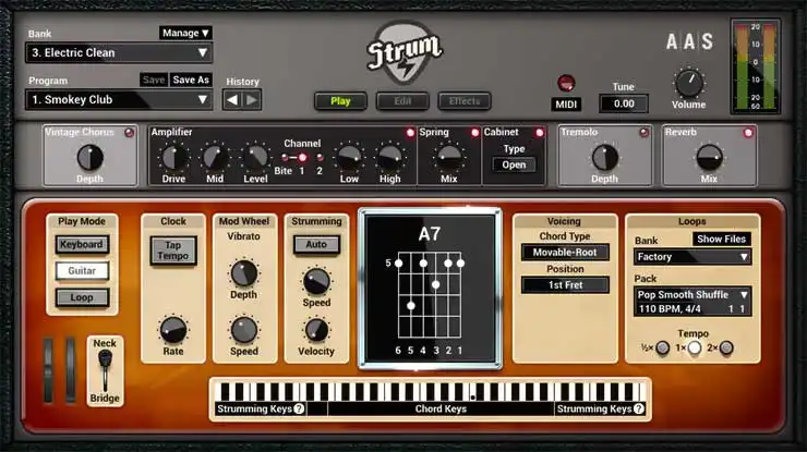 Applied Acoustics Systems Strum GS-2 v2.4.0 [WiN-OSX] preview