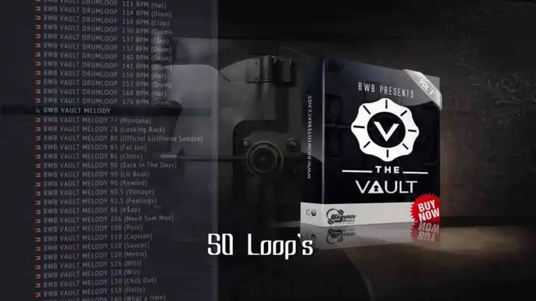 Bigwhite Beatz THE VAULT VOL 1 [WAV-KONTAKT-SYLENTH PRESETS] preview