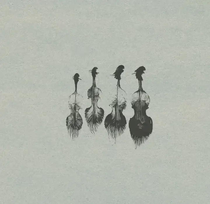 Wrongtools Feathersome Strings [KONTAKT] preview