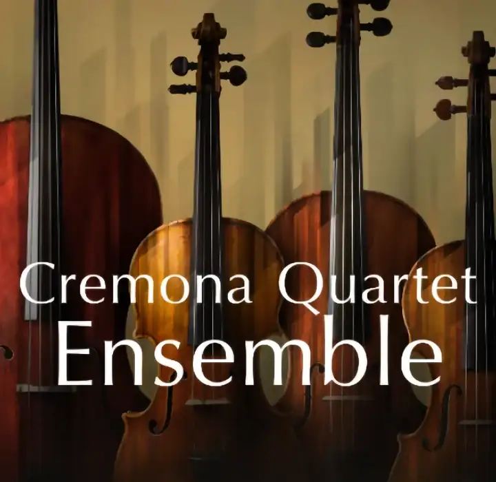 Native Instruments Cremona Quartet Ensemble [KONTAKT] preview