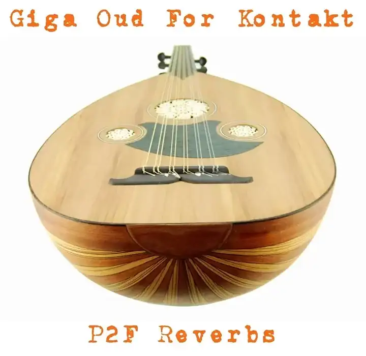 PastToFutureReverbs Giga Oud [KONTAKT-WAV] preview