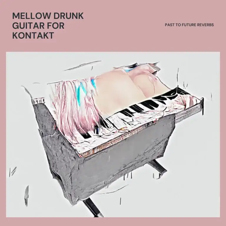 PastToFutureReverbs Mellow Drunk Guitar [KONTAKT-WAV] preview