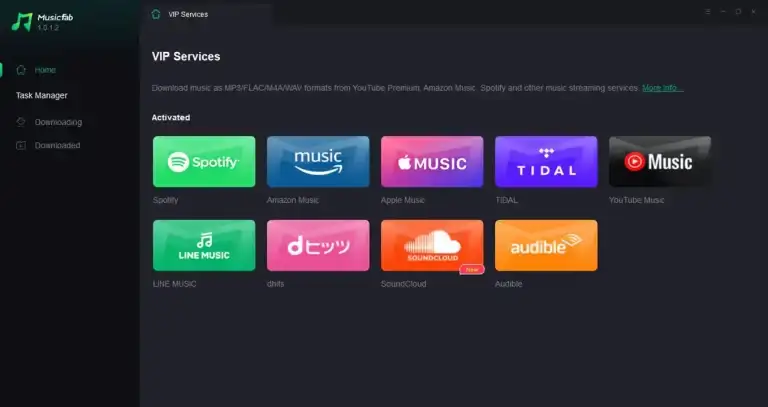 MusicFab All-In-One [WiN] preview