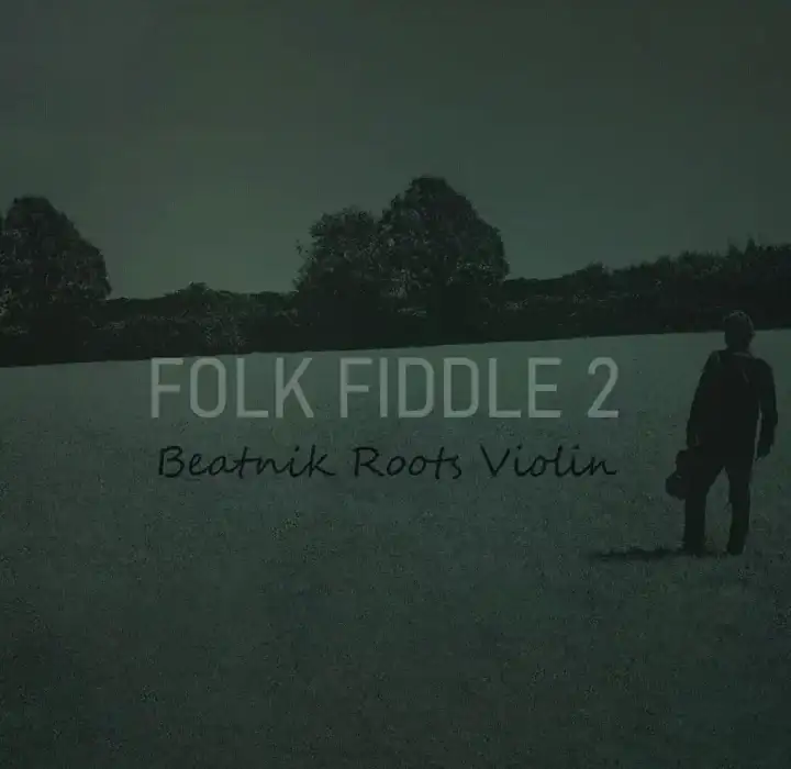 Insanity Samples Folk Fiddle 2 [KONTAKT] preview