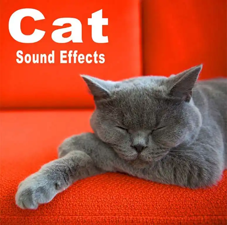 Cat Sound Effects (FLAC) preview