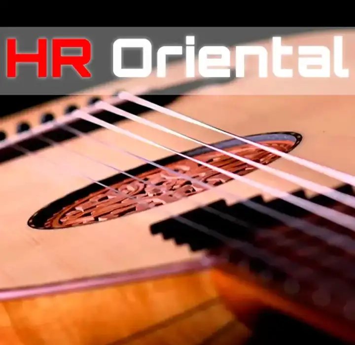 HR Sounds HR Oreintal Pack 1 [KONTAKT] preview