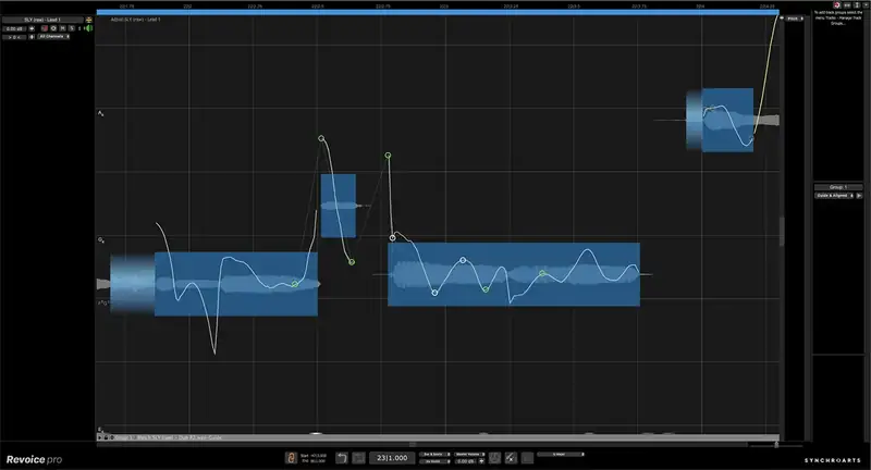 Synchro Arts ReVoice Pro v5.1.32 [WiN-MAC] preview