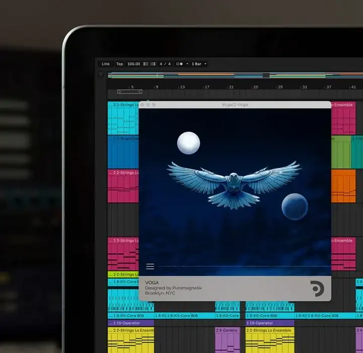 Puremagnetik Voga [WiN-MAC] preview