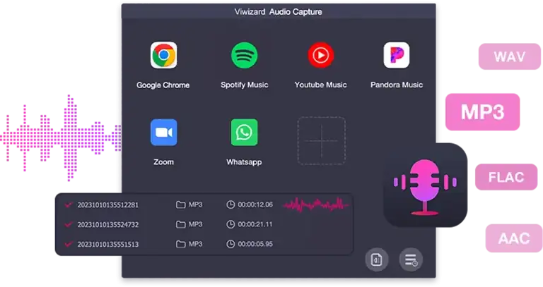 Viwizard Audio Capture [WiN] preview