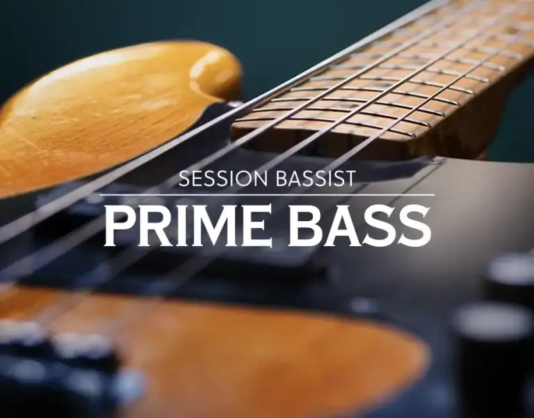 Native Instruments Session Bassist – Prime Bass [KONTAKT] preview