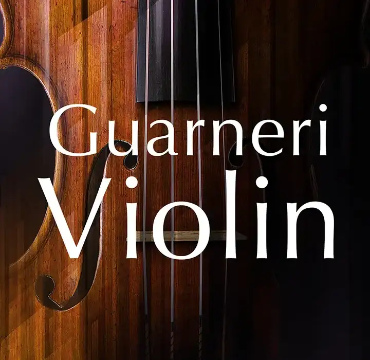 Native Instruments Guarneri Violin [KONTAKT] preview
