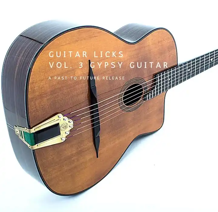 PastToFutureReverbs Guitar Licks Vol 3 Gypsy Guitar [KONTAKT] preview