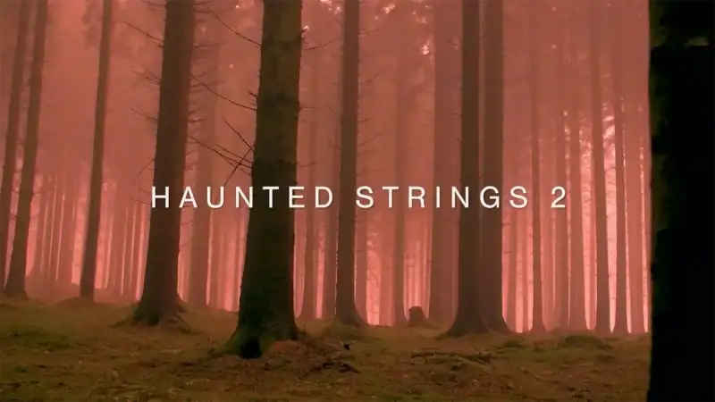 Insanity Samples Haunted Strings 2 [KONTAKT] preview