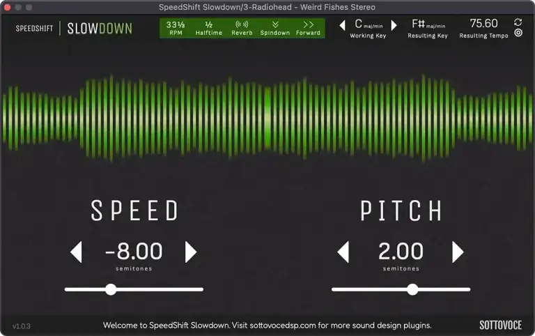 Sottovoce DSP SpeedShift Slowdown [WiN] preview