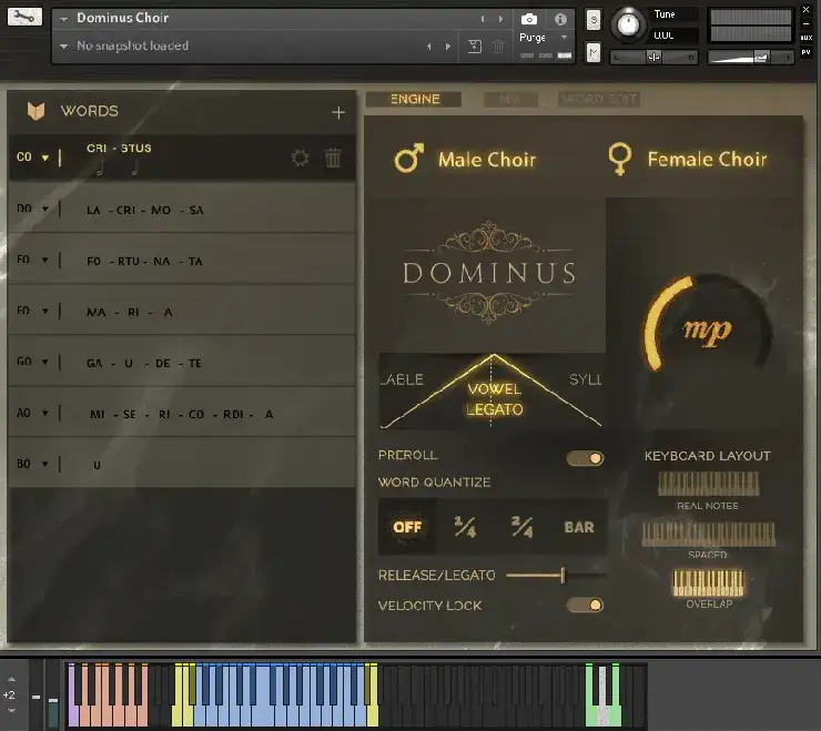 Fluffy Audio Dominus Choir Pro [KONTAKT] preview