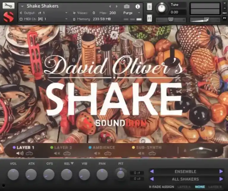Soundiron Shake [KONTAKT] preview