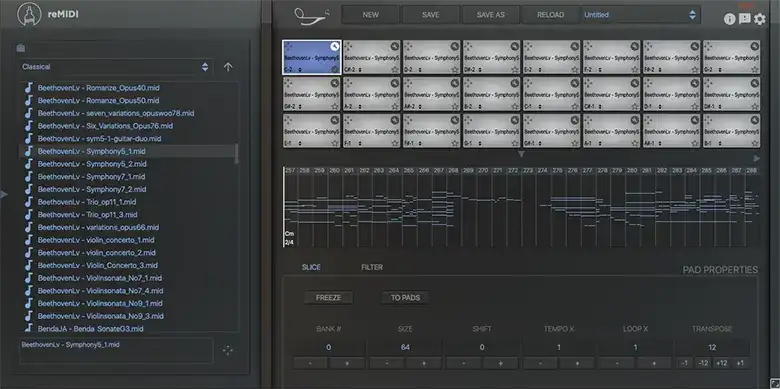 SongWish reMIDI 2 [WiN-OSX] preview
