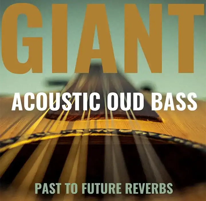 PastToFutureReverbs Giant Acoustic Round-Back Fretless Bass [KONTAKT-WAV] preview
