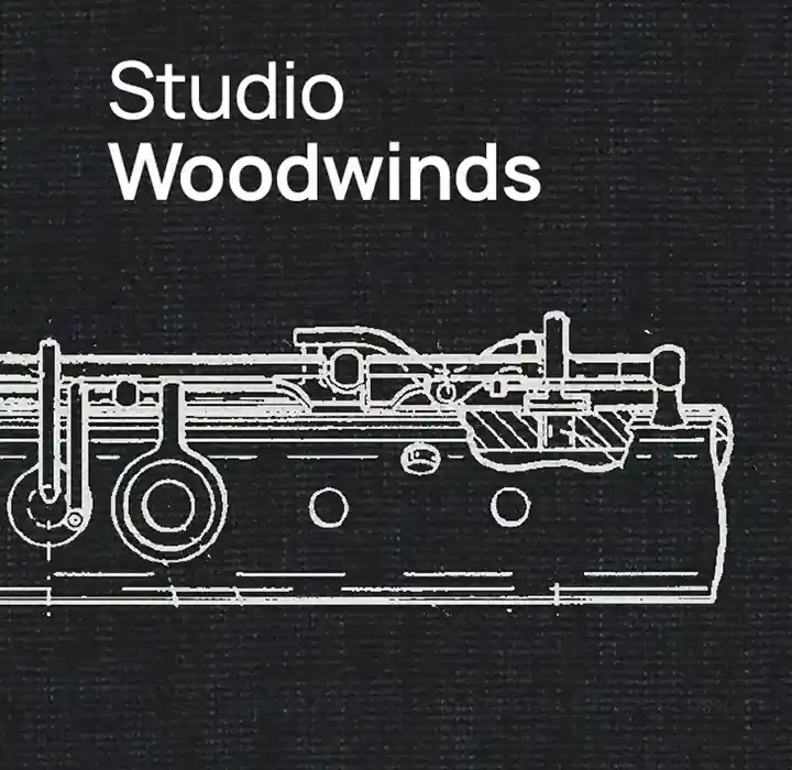 VSL Studio Woodwinds [Synchron Player] preview