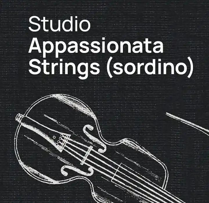 VSL Studio Appassionata Strings (sordino) [Synchron Player] preview