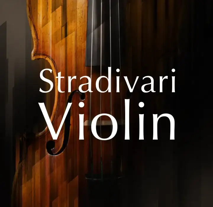 Native Instruments Stradivari Violin [KONTAKT] preview