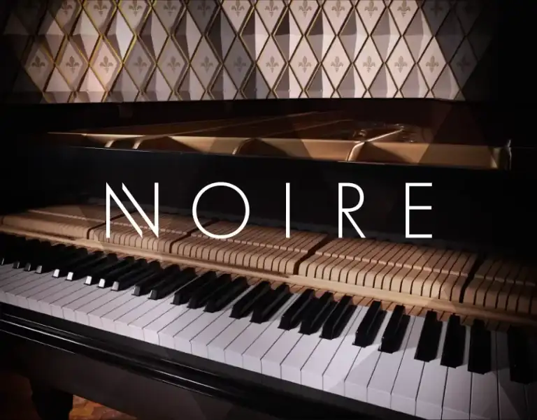 Native Instruments Noire [KONTAKT] preview