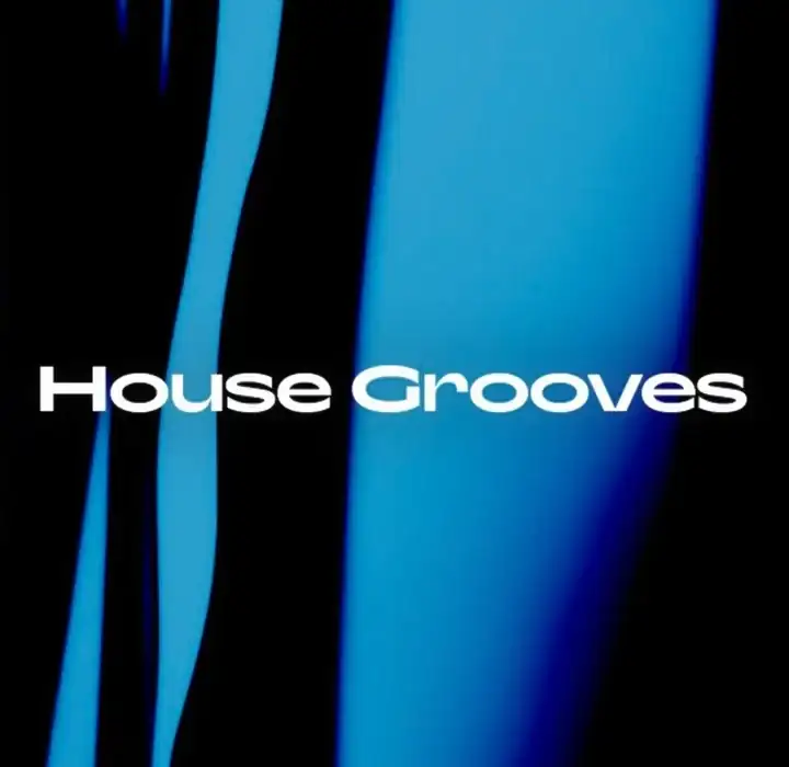 Native Instruments House Grooves Leap Expansion [KONTAKT] preview