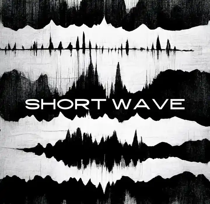 Triumph Audio Short Wave [KONTAKT] preview