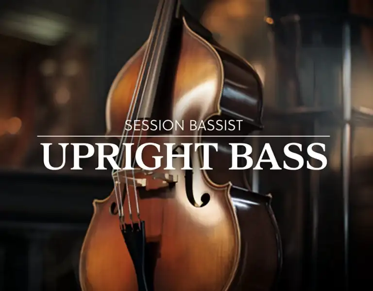 Native Instruments Session Bassist Upright Bass [KONTAKT] preview