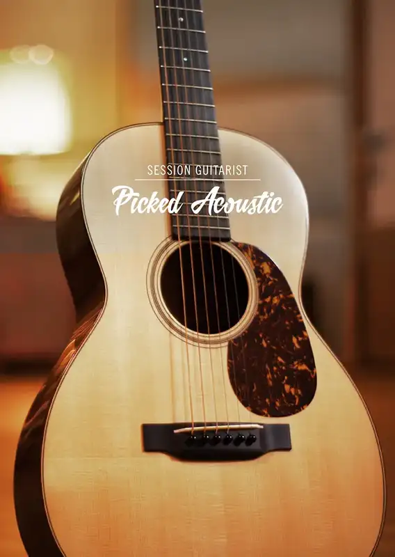 Native Instruments Session Guitarist Picked Acoustic [KONTAKT] preview