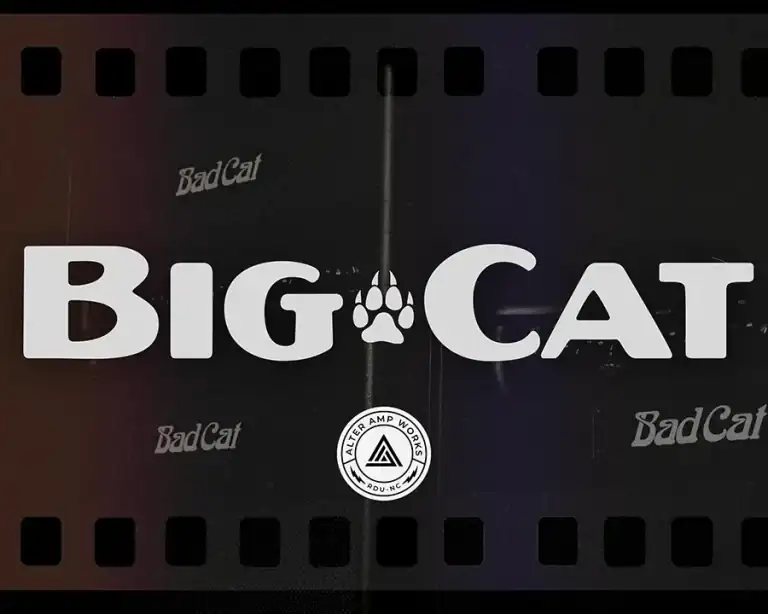 Alter Amp Works THE BIG CAT [TONEX] preview