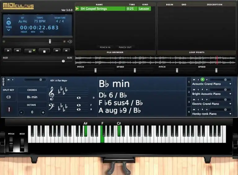 MIDIculous Learning Software v2.0.9 [WiN] preview