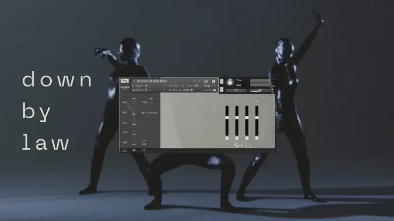 Wrongtools Down By Law [KONTAKT] preview