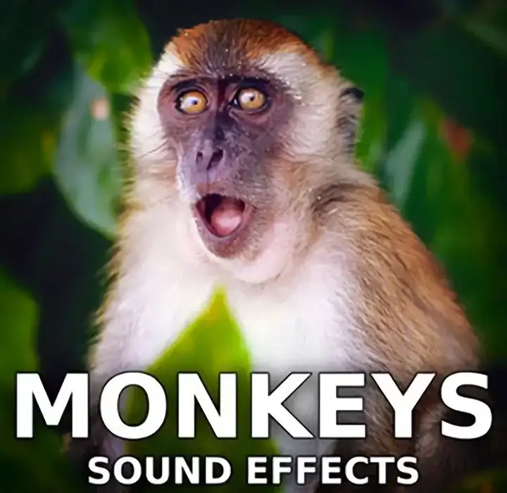 Sound Ideas Monkeys Sound Effects [FLAC] preview