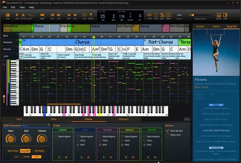 Aurally Sound Song Master PRO [WiN] preview