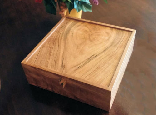 Decorative Box - Lloyd Donnelly